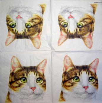 KAT-372 Cats - 3-ply - Ambiente